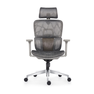 816HA  Ergonomic Chair