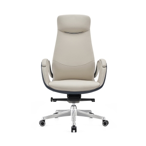 V101 New Design Leather Chair